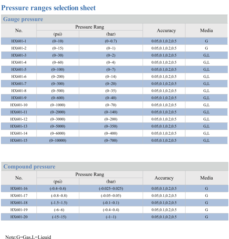 HX601 Digital Pressure Gauge