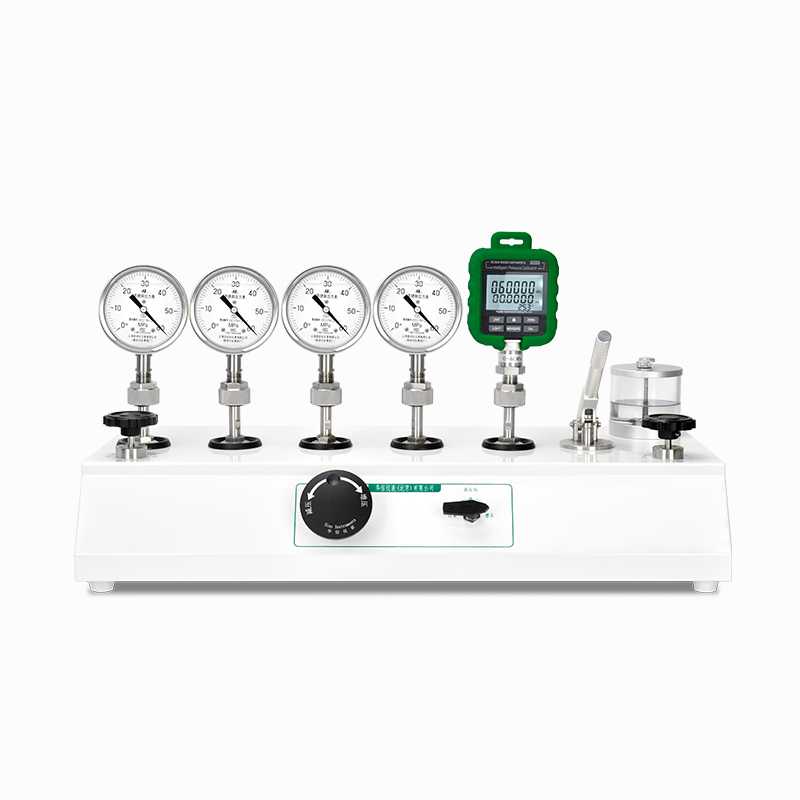 HS318L Electric Pressure Comparator